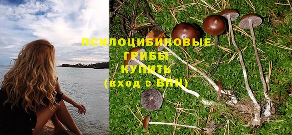 гашишное масло Кукмор