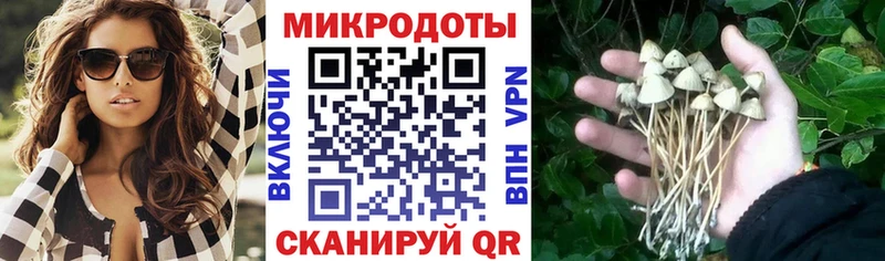 Купить где  Петухово  Псилоцибиновые грибы GOLDEN TEACHER 