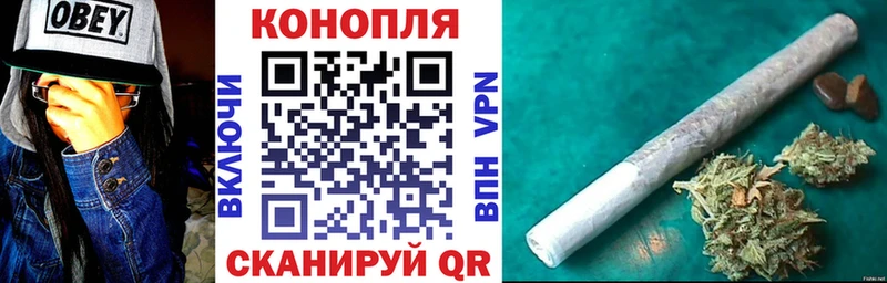 Купить где  Петухово  Каннабис OG Kush 